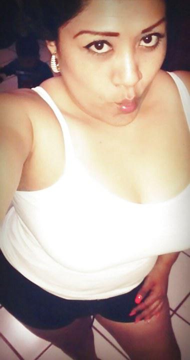 Appaloosakus aus Gelderland,Niederlande