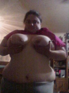 schattie aus Noord-Holland,Niederlande